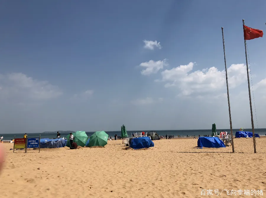青岛沙滩运动：排球飞盘怎么玩示例图