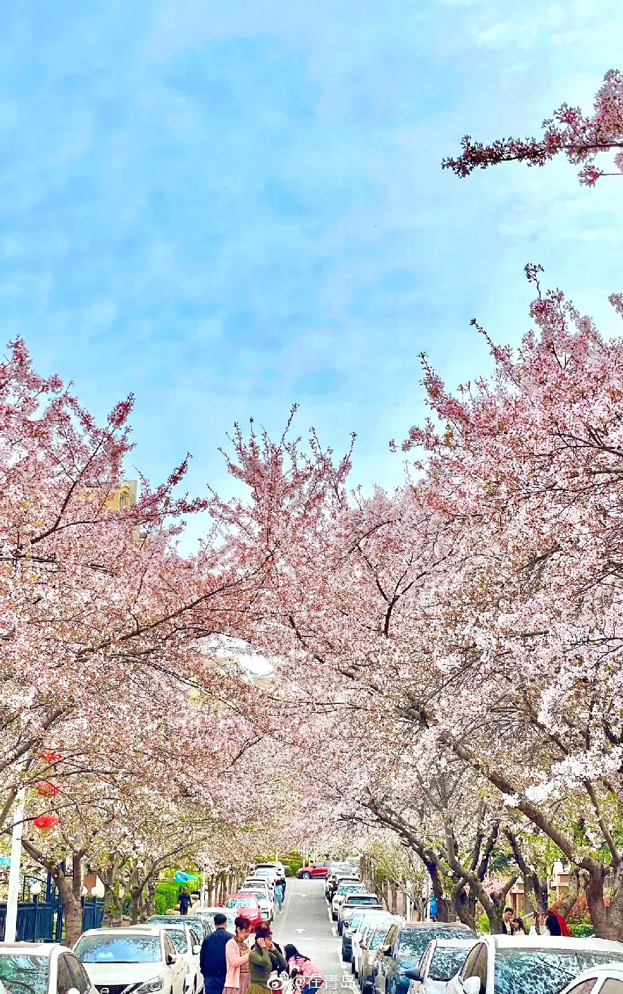 青岛元宵节：灯会与民俗活动示意图