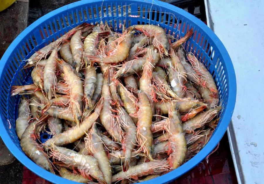 青岛甜品与面包：海边城市的小甜蜜